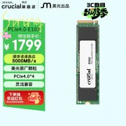 英睿达 E100 SSD 固态硬盘 黑色 M.2 NVMe PCI