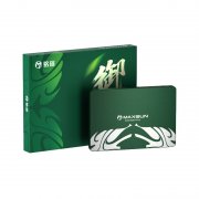铭瑄 御林卫MS256GBX7存储京东限时特价只要75元