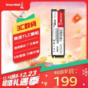 长城 GW3300固态硬盘512GB 限时特价只卖189元