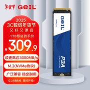 金邦 P3A系列固态硬盘限时秒杀只要288元 抢购只剩