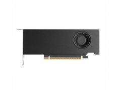 NVIDIA RTX PRO 2000 16G Blackwell 专业图形卡 强算力仅