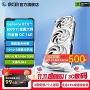 影驰 RTX5070Ti金属大师版显卡京东限时秒杀仅需