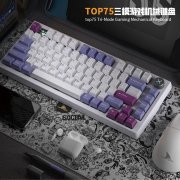 <b>达摩鲨 香芋紫薯 无线三模RGB机械键盘 限量开售</b>