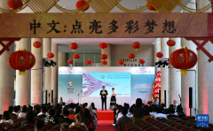 中文：点亮多彩梦想——巴西里约热内卢