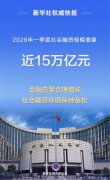 新华鲜报丨社融增量近15万亿元 金融靠前