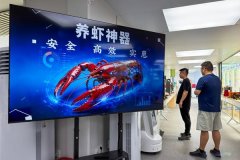 从“动口”到“动手”，全民“养虾”热背后的