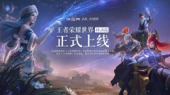 王者荣耀世界