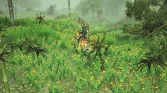 <b>圣域2：重制版 绿色中文版</b>