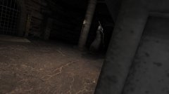 地下室抢劫 免安装绿色中文版
