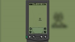 棕榈饼干 免安装绿色中文版