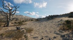 黄金王国VR 免安装绿色版