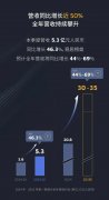 国产激光雷达龙头一季度营收增长近50%，与日本