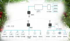农民也能秒变科技掌控者？智慧大棚方案将改变