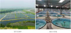 <b>案例┃凯米斯传感器助力农业水质监测解决难题</b>