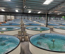 案例┃凯米斯传感器助力农业水质监测解决难题