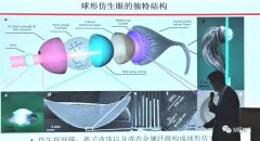 仿生传感器路在何方，专家现场指点迷津