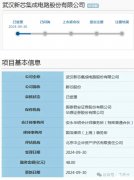 年入38亿，武汉新芯 芯片独角兽将IPO，聚焦存储