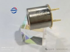 恒温箱内的敏锐气体侦探-氧化锆氧传感器SO-E2-