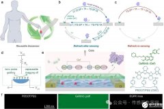 中国科学院大学:实现可再生高灵敏度生物传感器