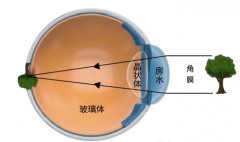 摄像模组组成结构 摄像模组成像的工作原理