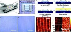 跨界生物电子学的蚕丝纳米界面实现高灵敏有机