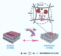 新型3D介孔生物传感膜提高葡萄糖生物传感区域面