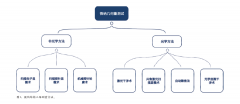 3D白光干涉成像技术的创新及应用