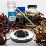 基于海藻的水凝胶传感器，可作为健康监测的第