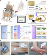 可持续监测轮椅患者压力水合作用的无线多模态